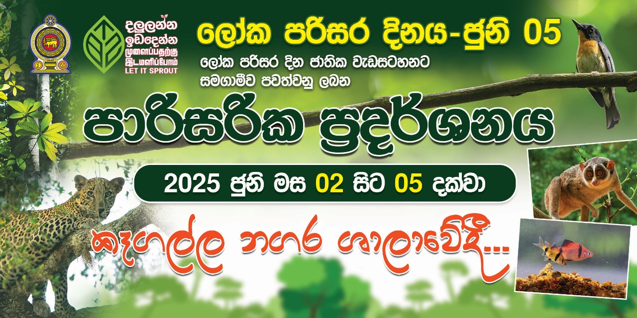 WhatsApp Image 2025 06 02 at 20.45.53